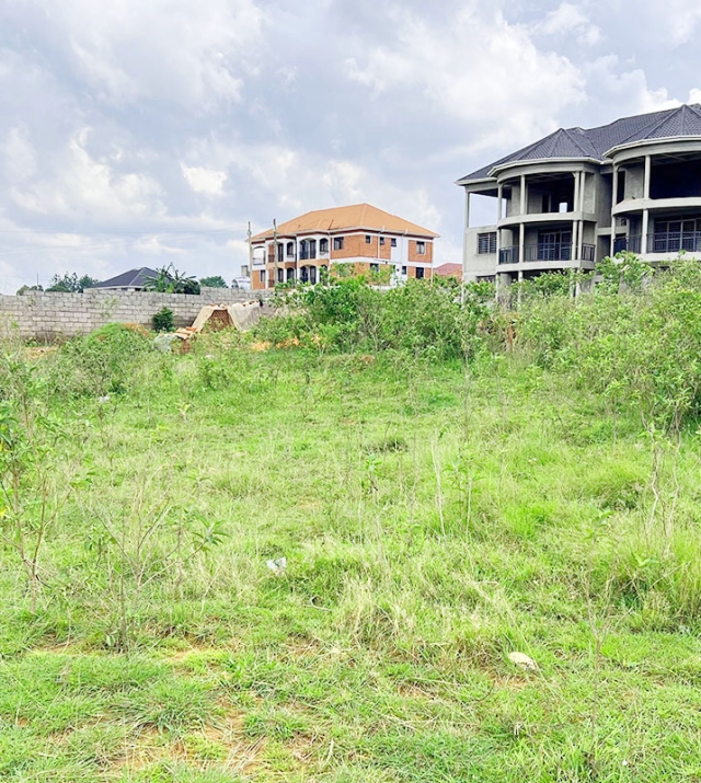 WhatsApp Image 2025-04-15 at 12.12.01.jpg